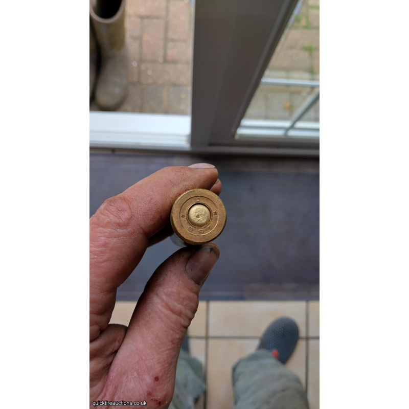 Inert Russian 12.7 API Round