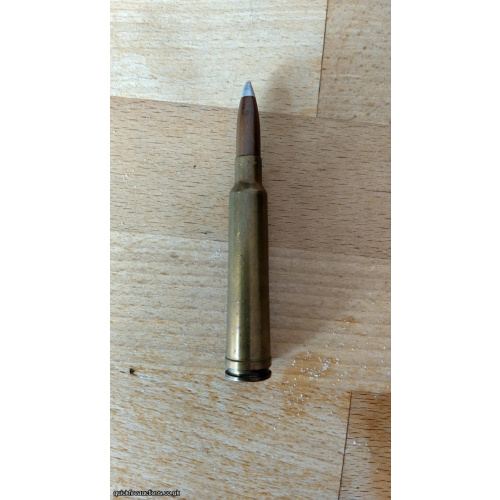 Inert .275 Magnum Round