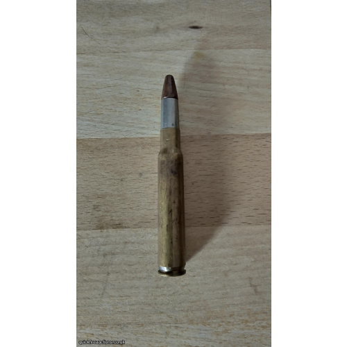 Inert  .318 Westley Richards Round