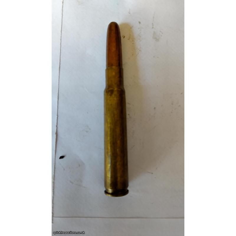 Inert  .318 Nitro Round