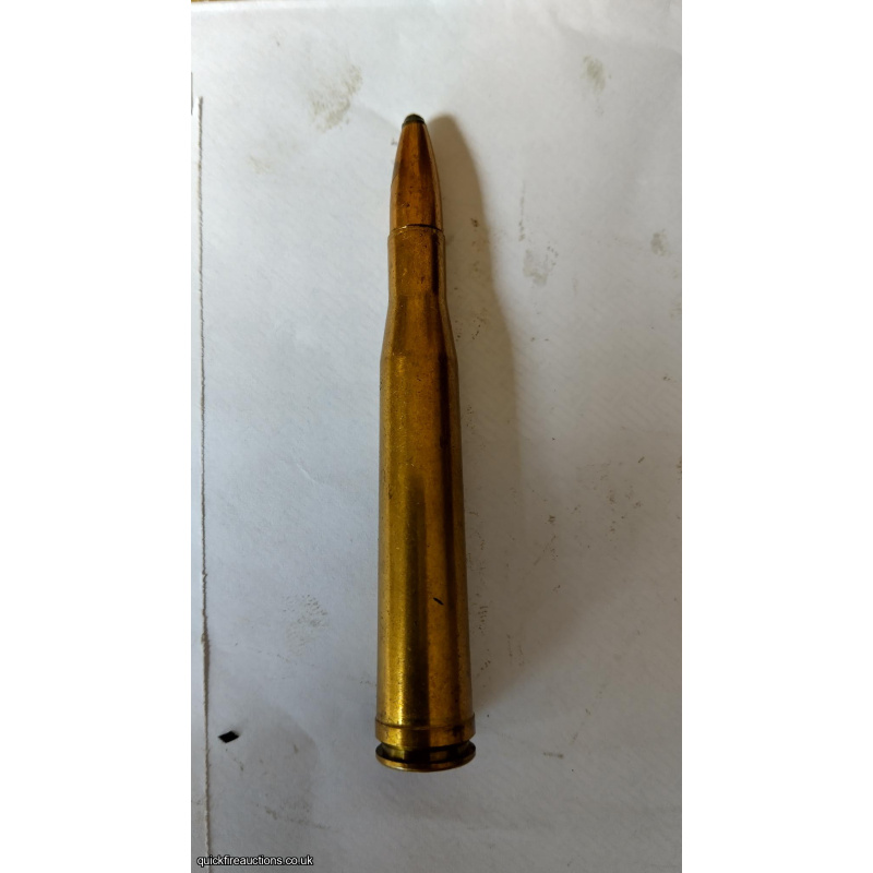 Inert  .300 Magnum Round