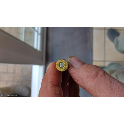 Inert .45 colt