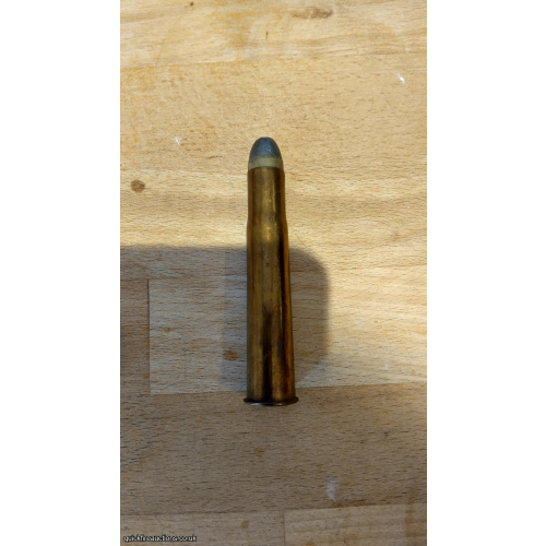 Inert .577/500 round