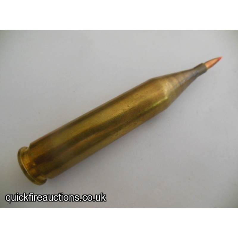 One inert .17 Incinerator wildcat cartridge