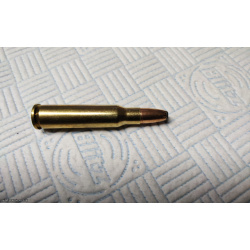 .307 Winchester 