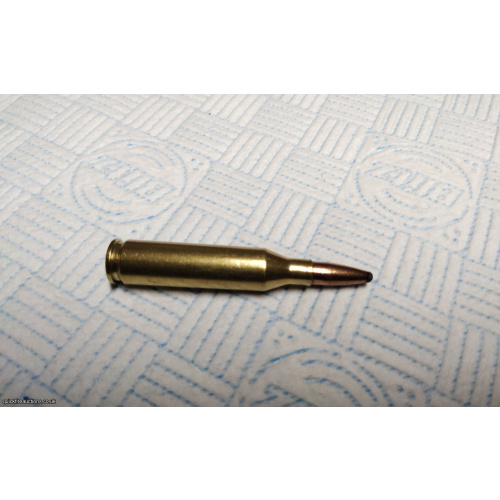 .243 Winchester 