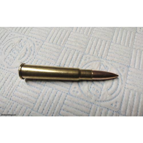 .303 mk VIII round