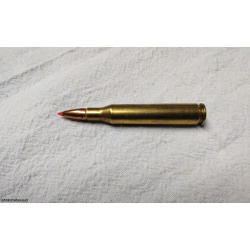 .25-06 Rem