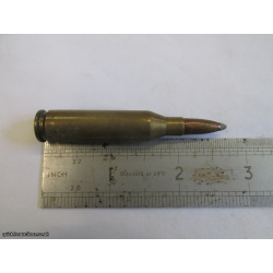 1 X NORMA 243 COPPER LEAD TIP BULLET INERT