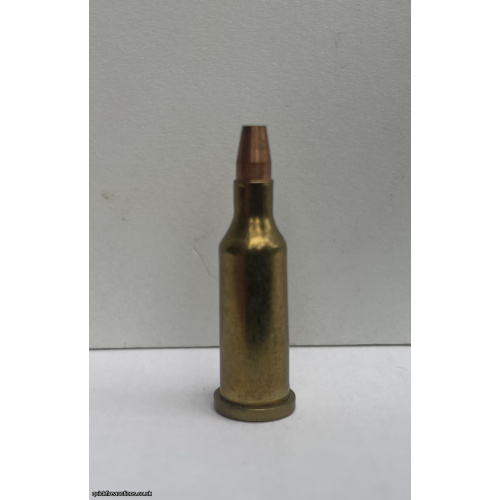 .14 Squirrel wildcat