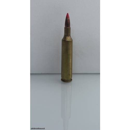 .17 OTTR wildcat