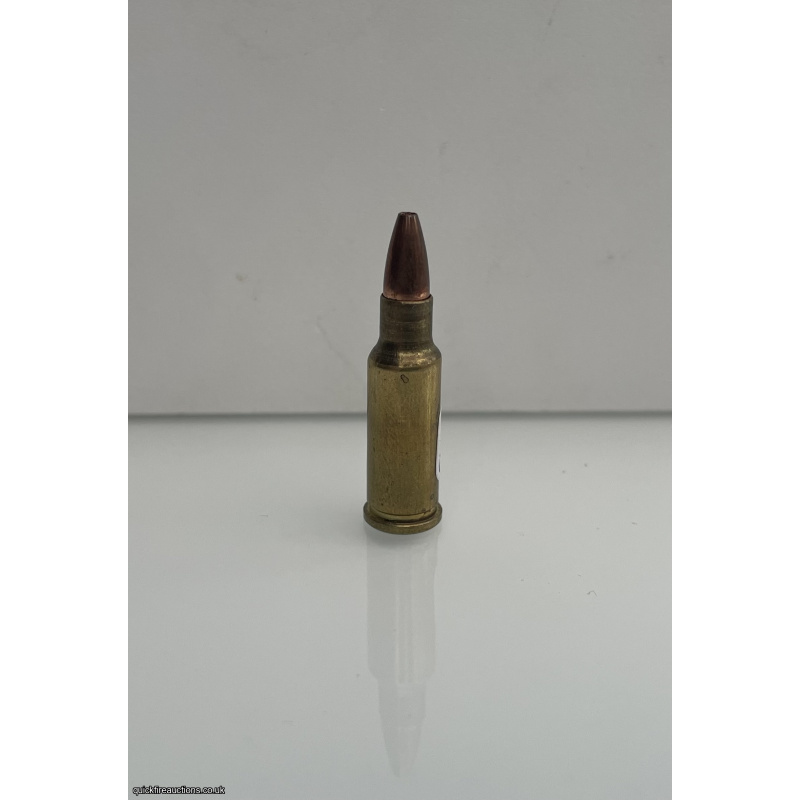 .20 Eichelberger Wildcat