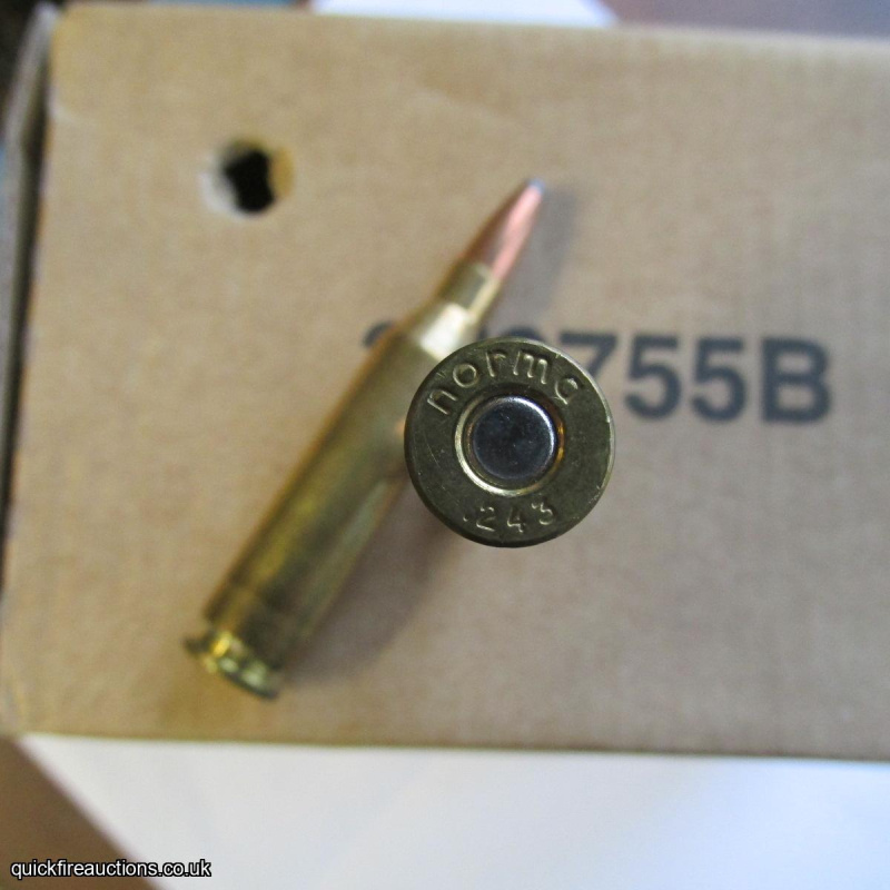 1 X .243 NORMA COPPER LEAD TIP BULLET INERT