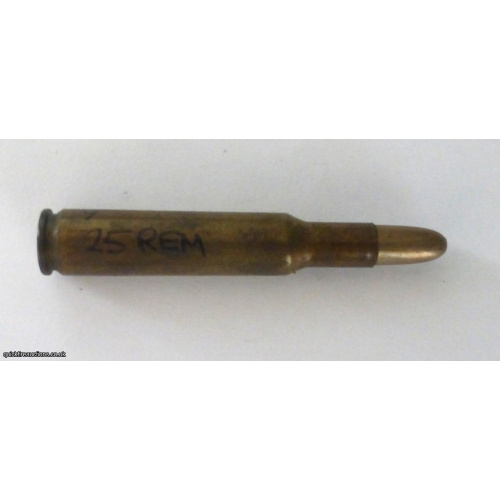 ONE INERT  25 REMINGTON