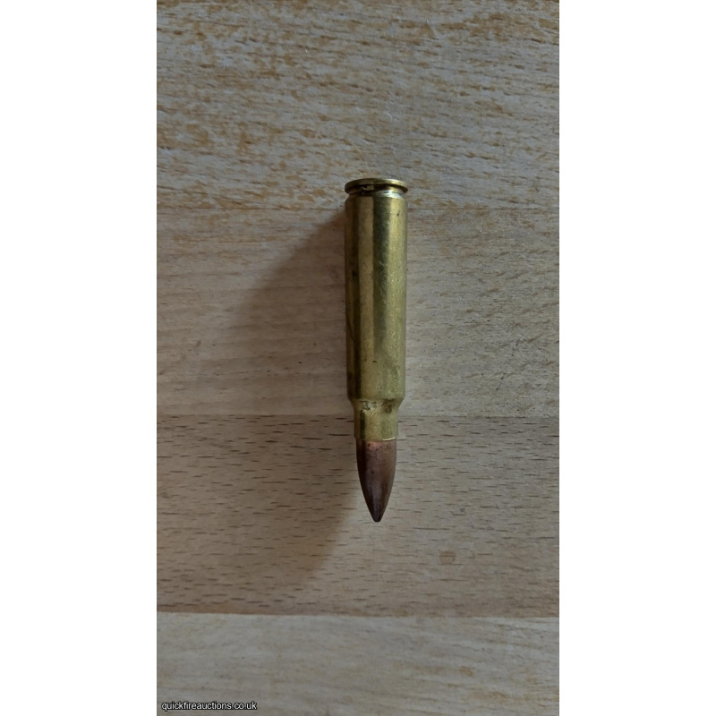 Inert  .300  Savage Round