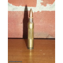 5.56mm M199 Dummy LC 69