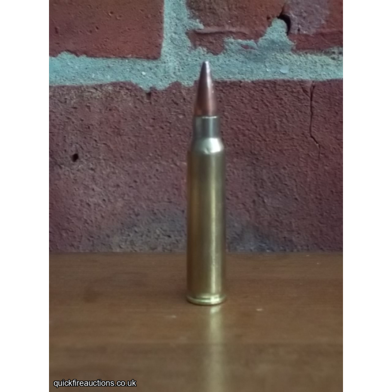 5.56mm Ball round RG 24